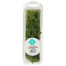 CILANTRO FRASCO SAZONAS 20GR