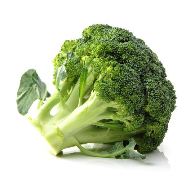 BROCOLI X LIBRA