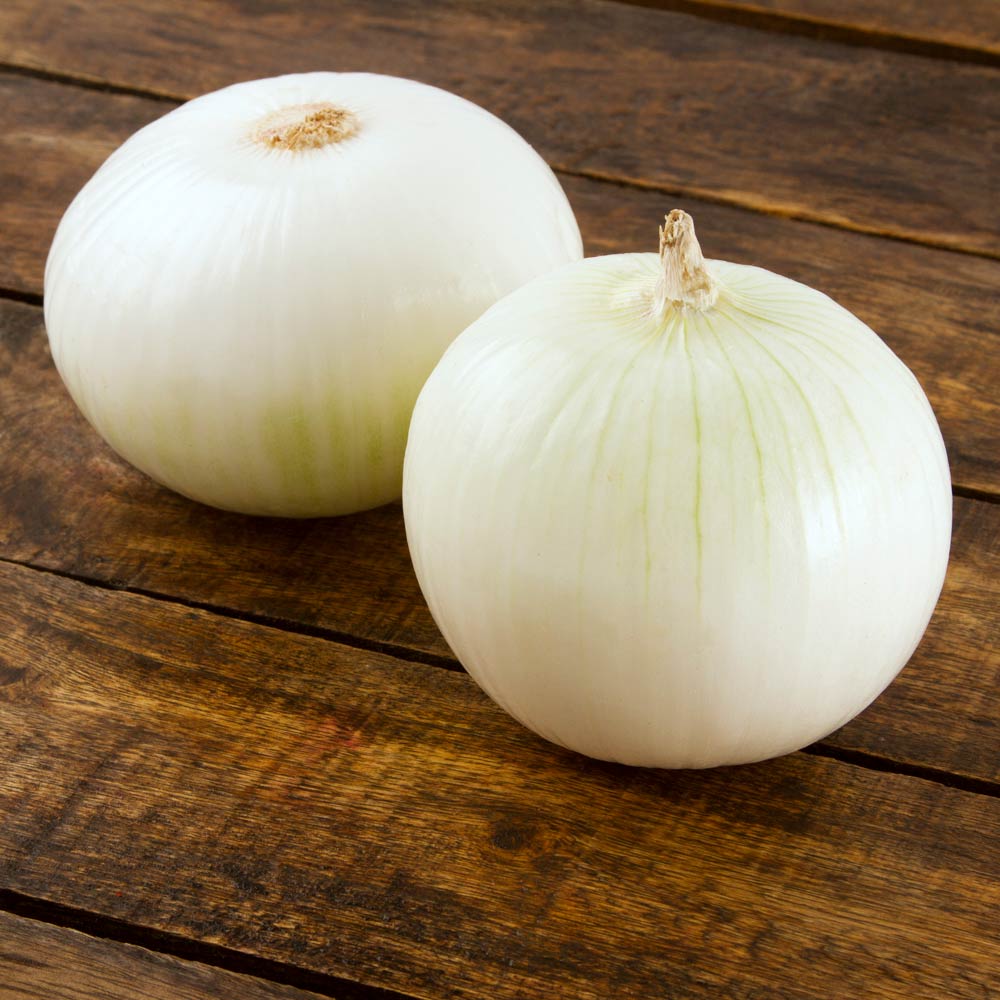 CEBOLLA BLANCA X LIBRA