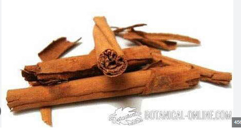 CANELA EN RAMA SAZONAS DISPLAY