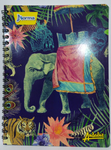 CUADERNO ACADEMICO 100H 2 LINEAS NORMA