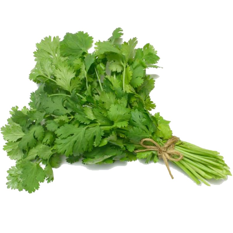 CILANTRO ATADO GRANDE