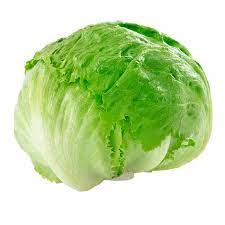 LECHUGA CABEZONA X UN