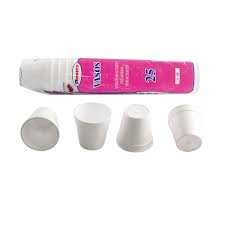 VASO TERMICO PLASTRO 8OZ