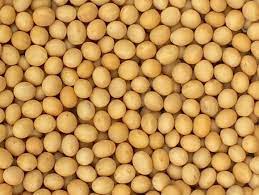 SOYA GRANEL X LIBRA