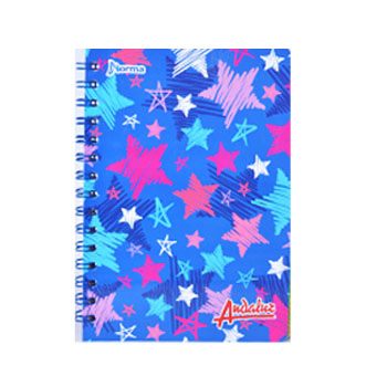 CUADERNO JUNIOR 100H CUADROS NORMA